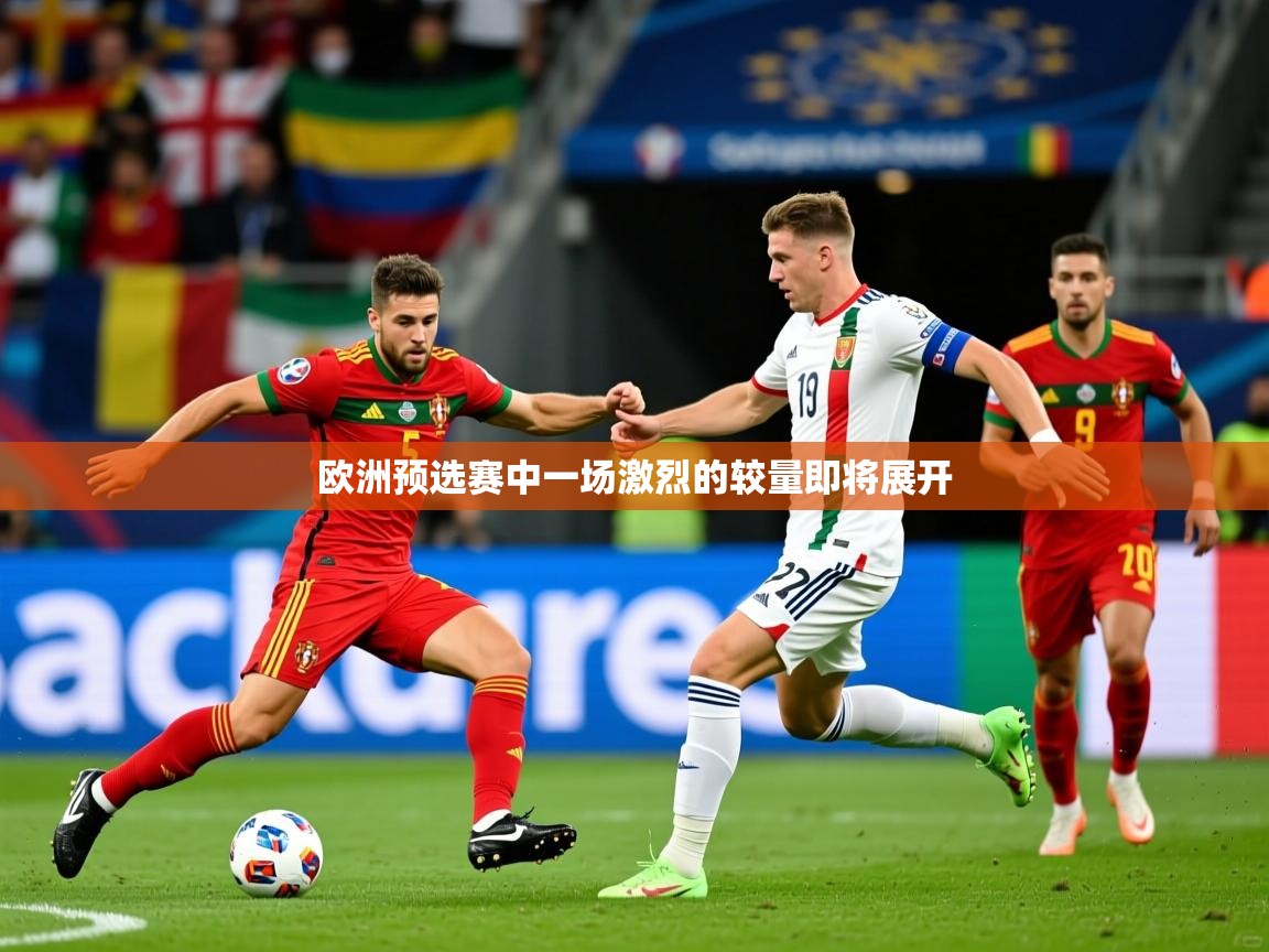 欧洲预选赛中一场激烈的较量即将展开  第1张