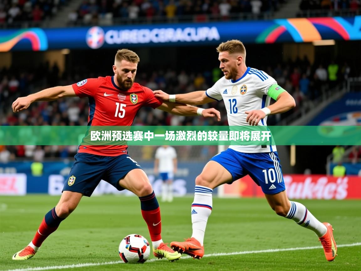 欧洲预选赛中一场激烈的较量即将展开  第4张